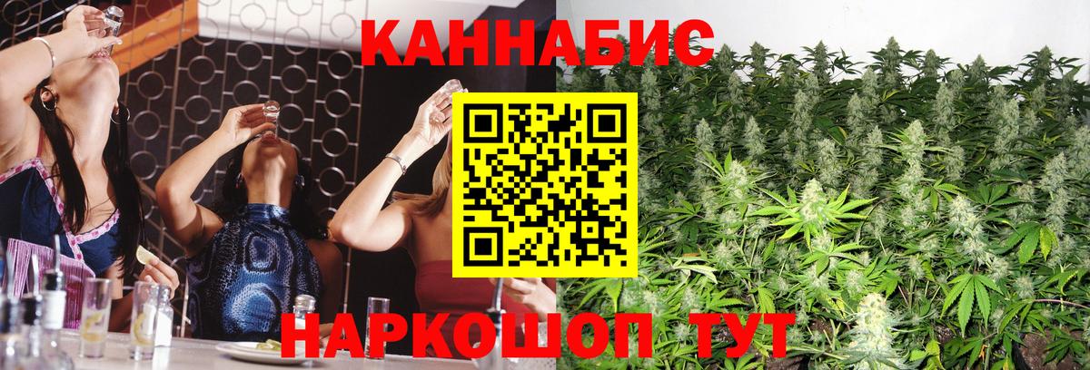 Канабис индика Елец